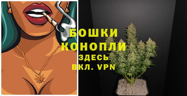 эйфоретик Краснослободск