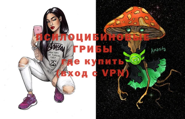 крисы Куйбышев