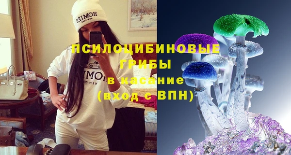 шишки Красноперекопск
