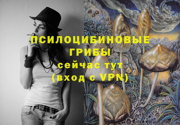 ALPHA PVP Краснотурьинск