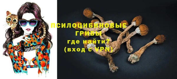 ALPHA PVP Краснотурьинск