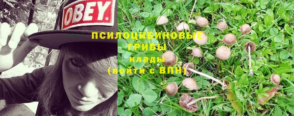 стафф Кукмор