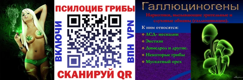 darknet формула  ссылка на мегу как зайти  Лосино-Петровский  Псилоцибиновые грибы MAGIC MUSHROOMS 