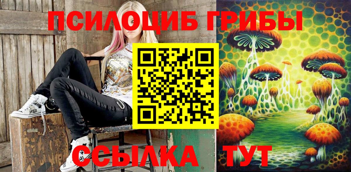 Псилоцибиновые грибы ЛСД Лосино-Петровский
